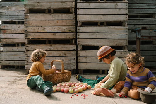 GRAPAT Mandala Half Spheres 2026 - Bueno Blocks