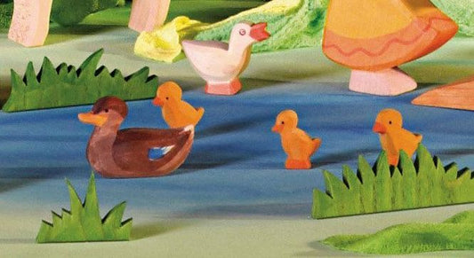 Ostheimer Duck Swimming