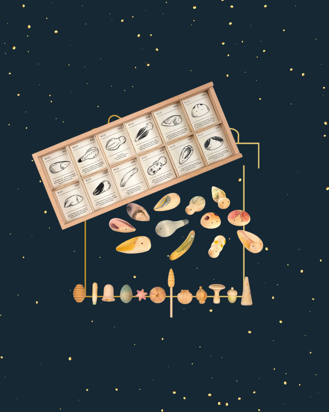{Surprise} Wild & Wonder