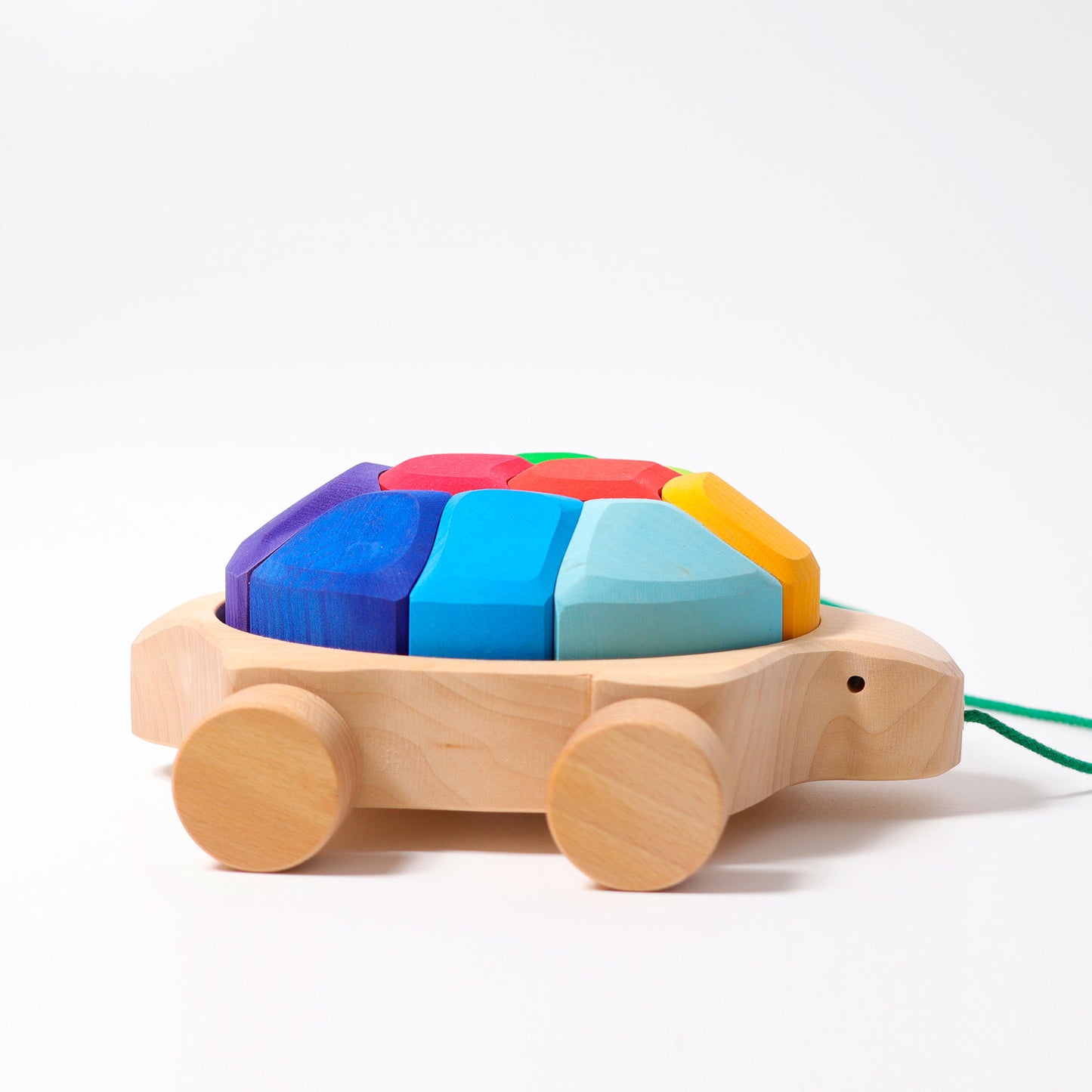 GRIMM'S Rainbow Turtle