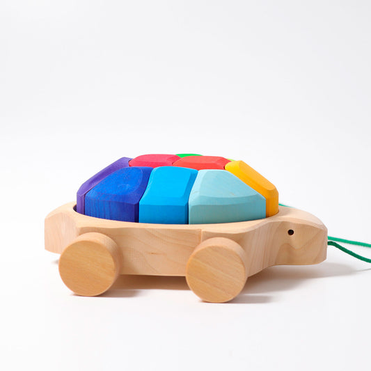 GRIMM'S Rainbow Turtle