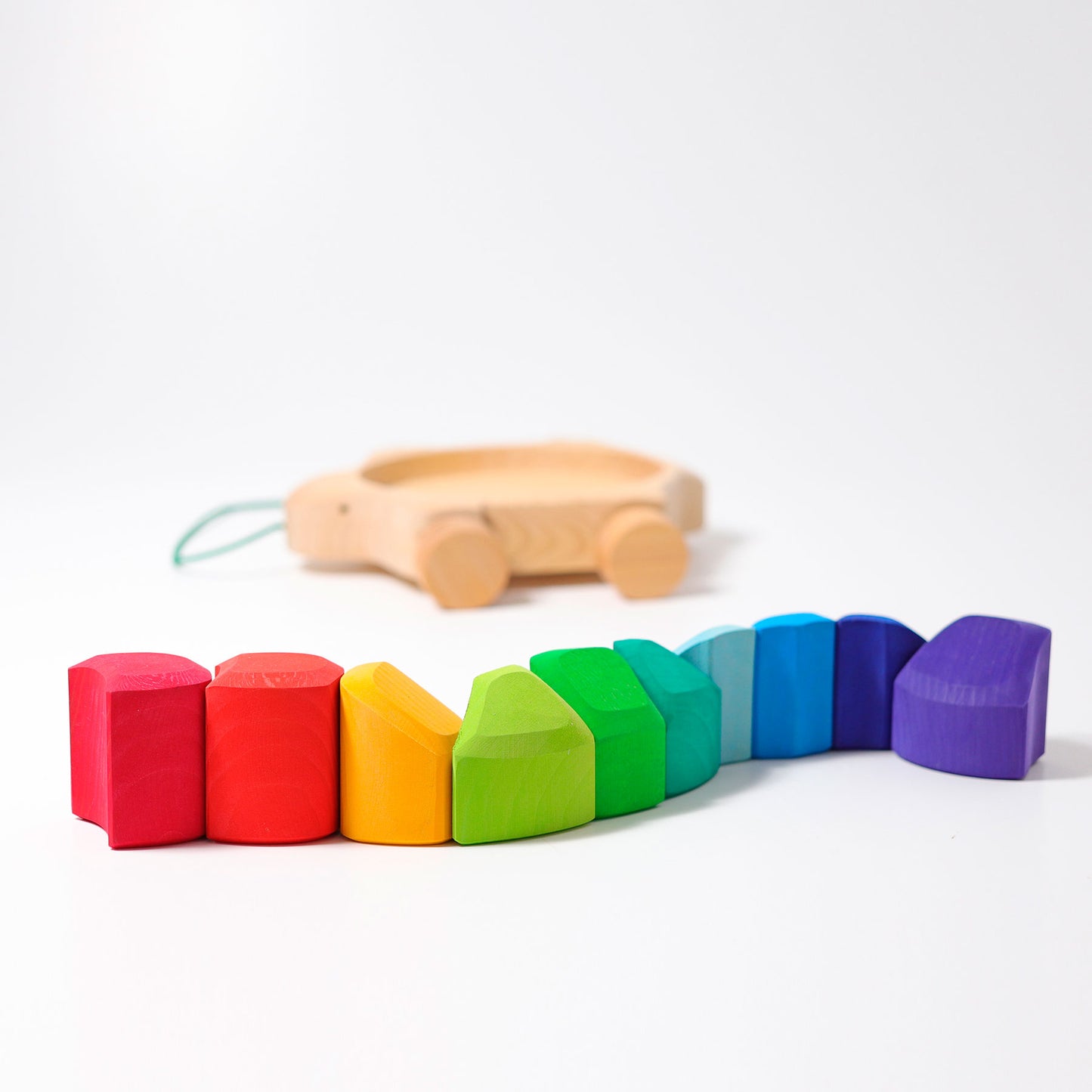 GRIMM'S Rainbow Turtle