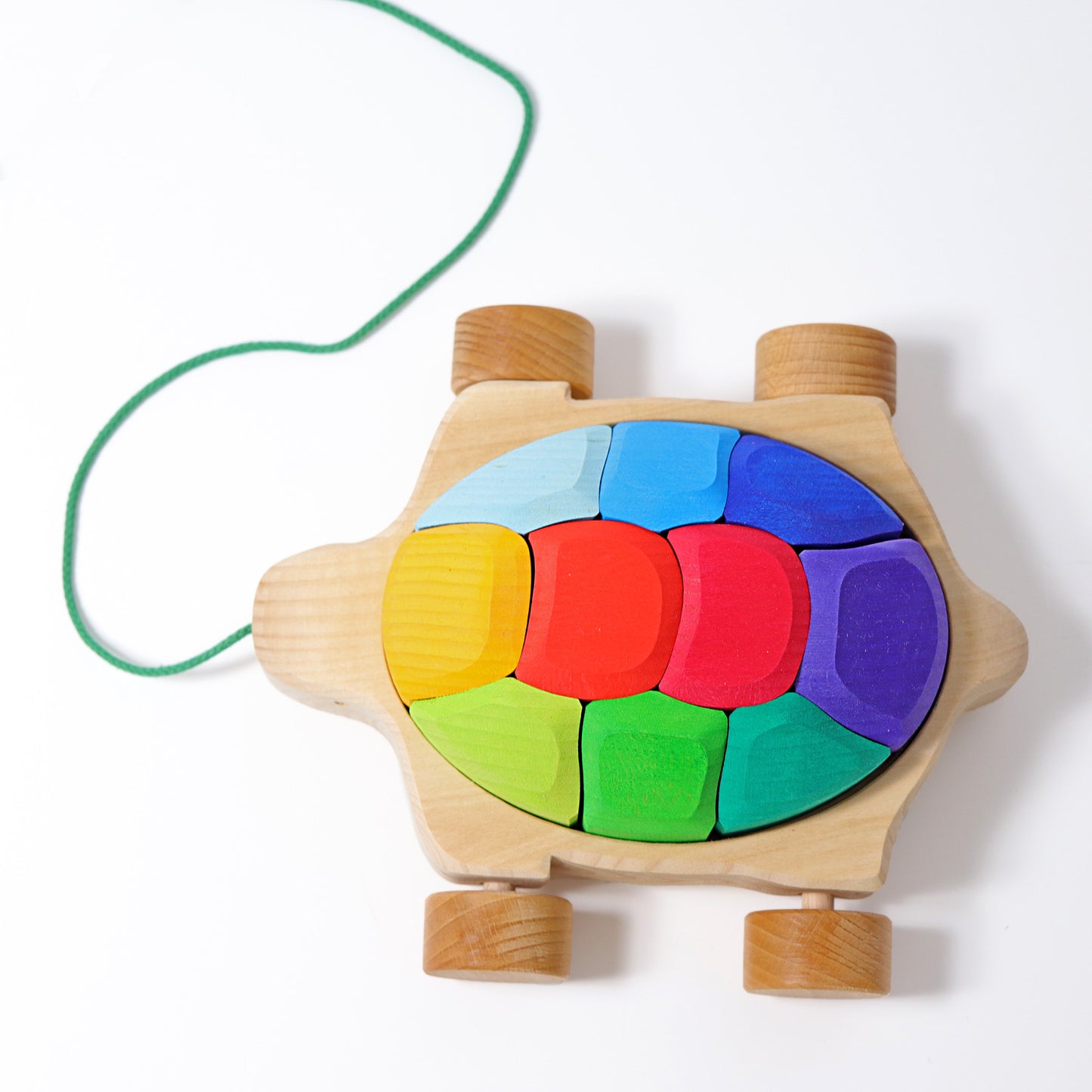 GRIMM'S Rainbow Turtle