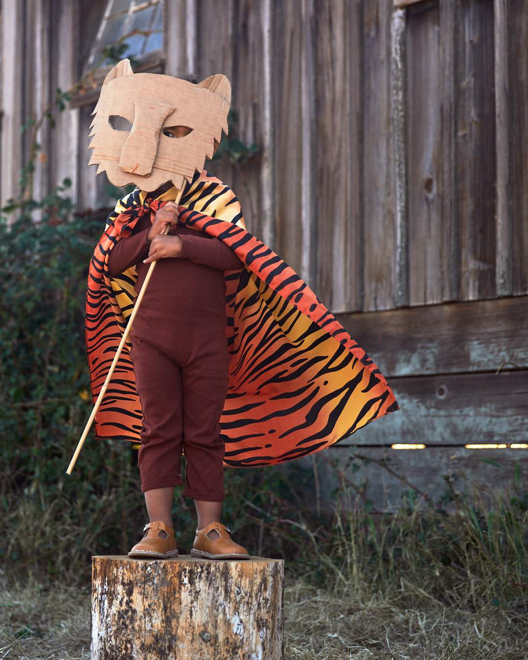 Sarah's Silks Animal Playsilks Limited Edition