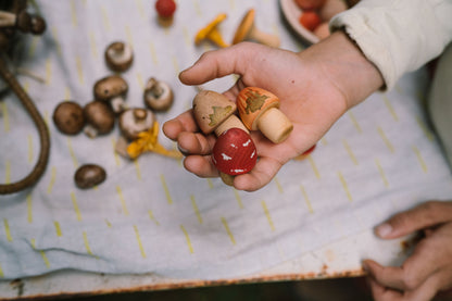 GRAPAT Mushroom Grove - Bueno Blocks