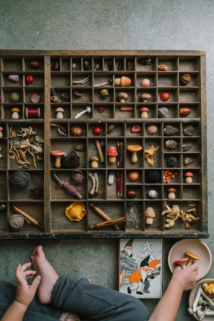 GRAPAT Mushroom Grove - Bueno Blocks