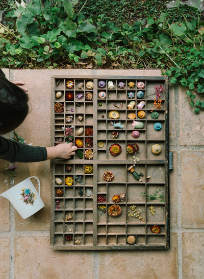 GRAPAT Flower Meadow 2026 - Bueno Blocks