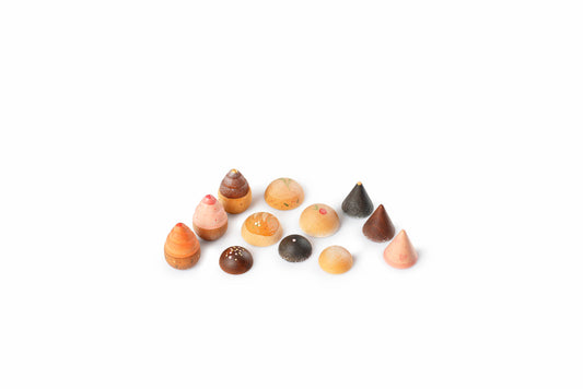 GRAPAT Bakes 2026 - Bueno Blocks